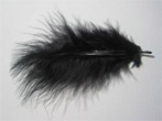 Black Feather