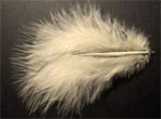 Eggshell Feather