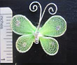 Lime Green Butterfly