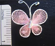 Pink Butterfly