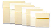 White and Natural Envelopes and Cardstock